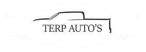  Image 13_other_image_1781015310518290432.png Over ons | Terp Auto’s