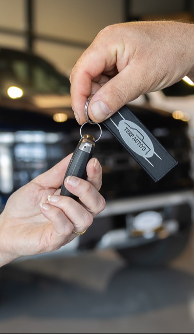 Article article_images_0_17812599421702391636.jpg Over ons | Terp Auto’s