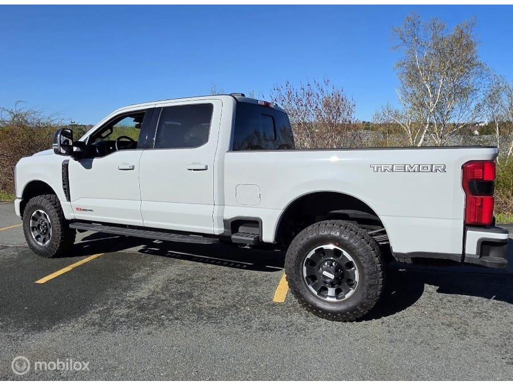 Ford  USA F250 6.7 V8 Platinum Tremor 53247055-0.jpg | Terp Auto’s